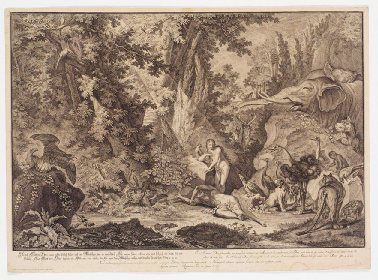 La creazione di Eva da Johann Elias Ridinger