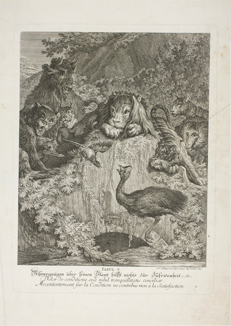 Favola V, tavola cinque da Lehrreiche Fabeln aus dem Reiche der Theire da Johann Elias Ridinger
