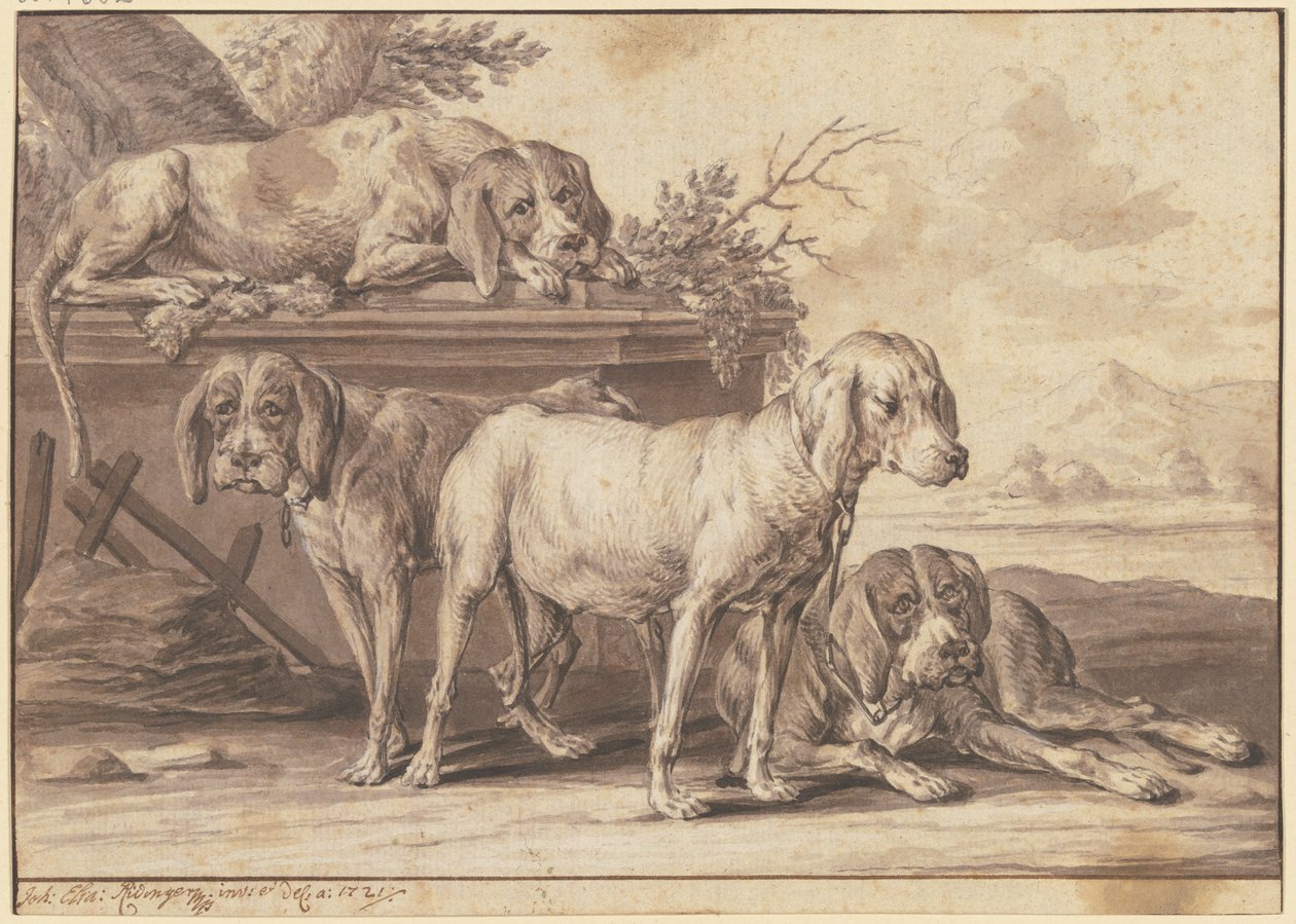 Quattro cani da caccia da Johann Elias Ridinger