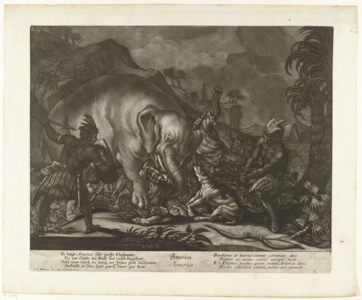 Caccia agli elefanti da Johann Elias Ridinger