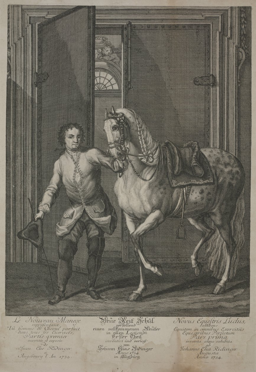 Nuova scuola di equitazione da Johann Elias Ridinger