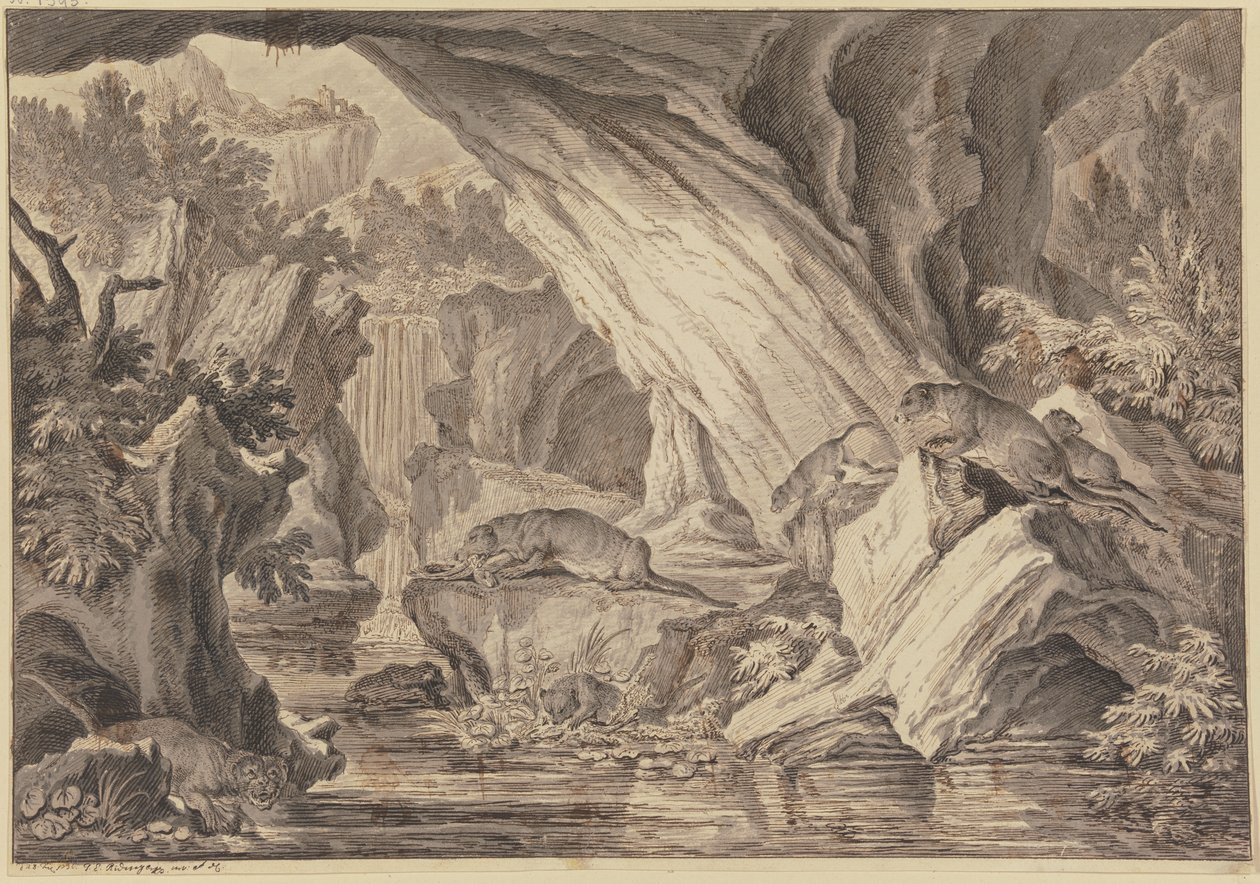 Sei lontre in una grotta rocciosa presso l