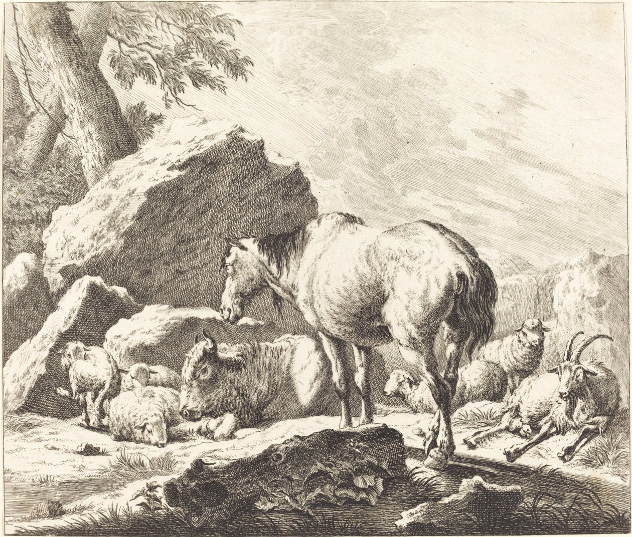 Un cavallo, bufalo, pecora e capra in un paesaggio italiano da Johann Elias Ridinger after Johann Heinrich Roos