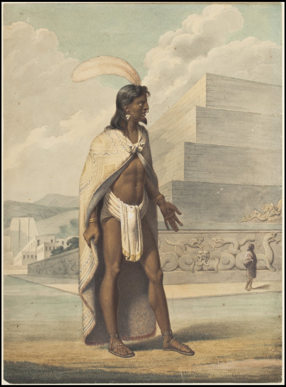 Una collezione delle opere originali di Waldeck del Mesoamerica, Scatola 3 di 22 da Johann Friedrich Maximilian von Waldeck