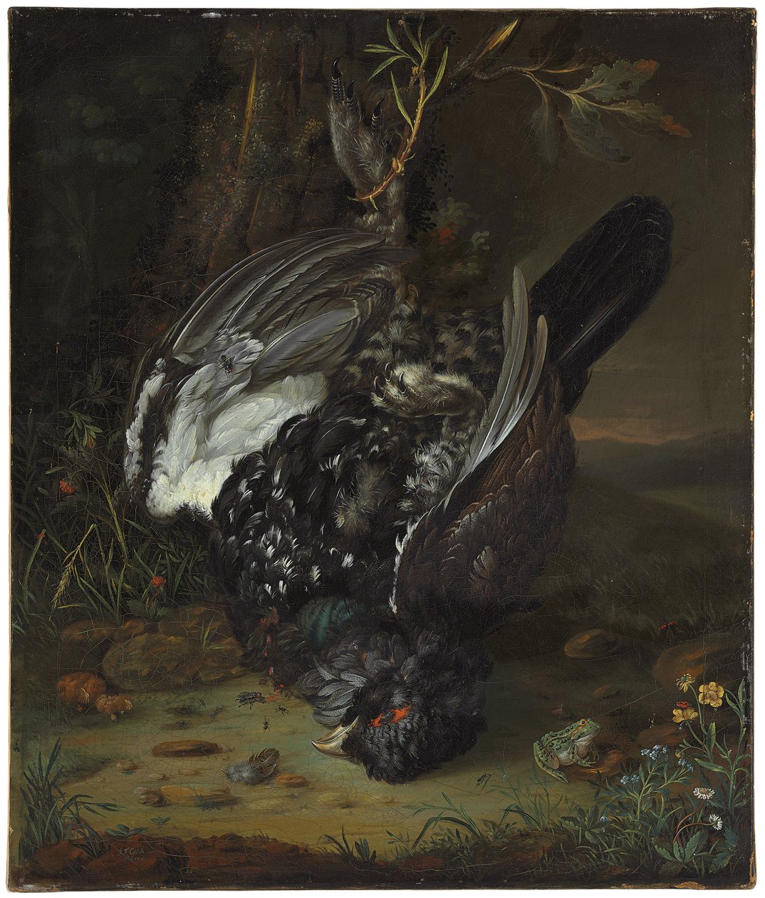 Un gallo nero in un paesaggio boschivo, 1747 da Johann Friedrich von Grooth