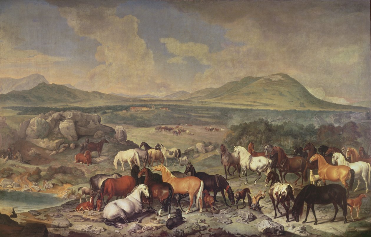 Lo Stud Imperiale con cavalli Lipizzani da Johann Georg Hamilton