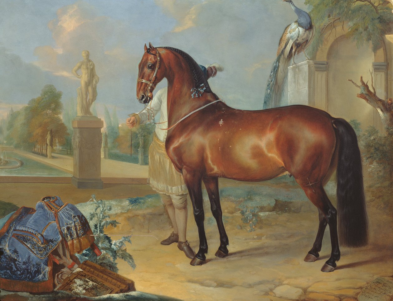 Il cavallo baio 