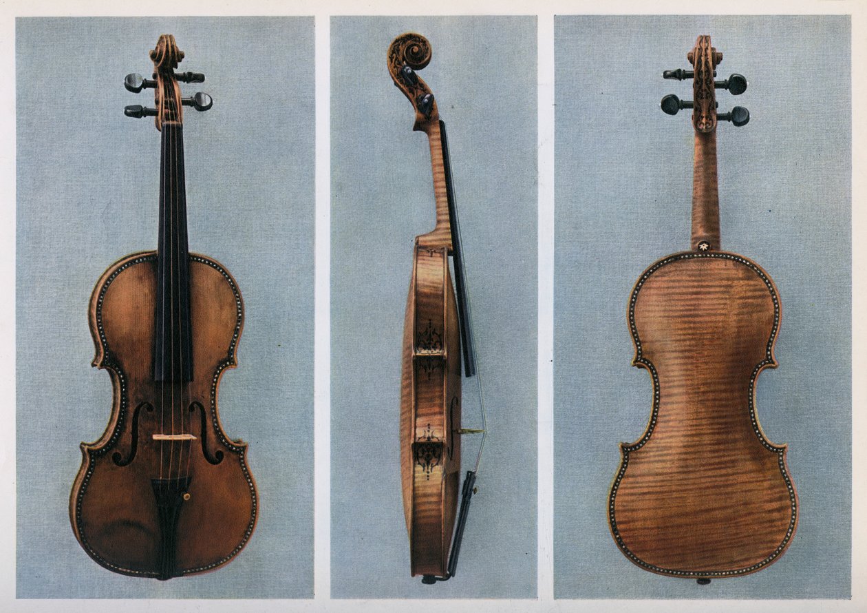 Violino, Nicola Amati, Cremona, XVII secolo da Johann Georg Platzer