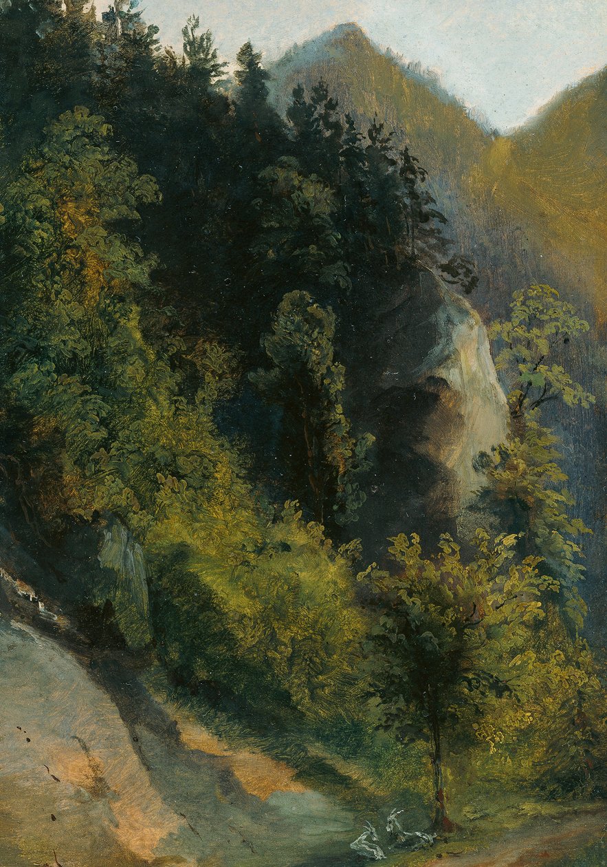 Valle rocciosa boscosa con capre da Johann Georg von Dillis