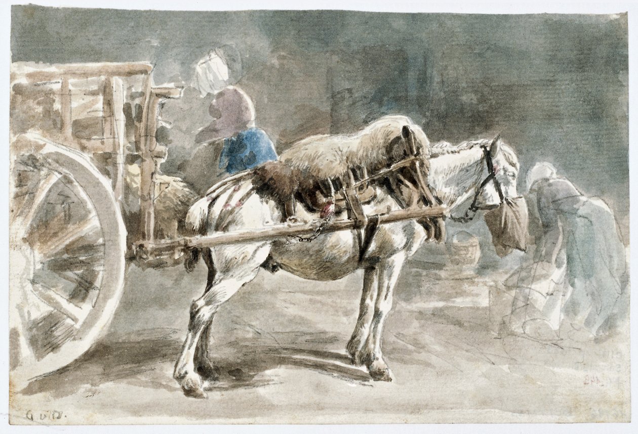 Cavallo da tiro mentre mangia l