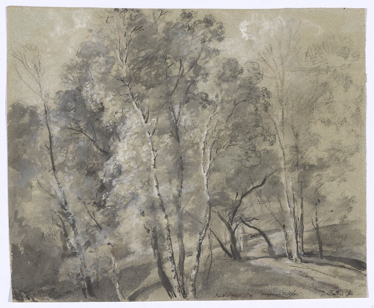 Alberi a foglia caduca sul pendio da Johann Georg von Dillis