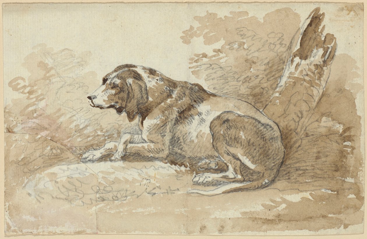 Due studi sui cani da Johann Georg von Dillis