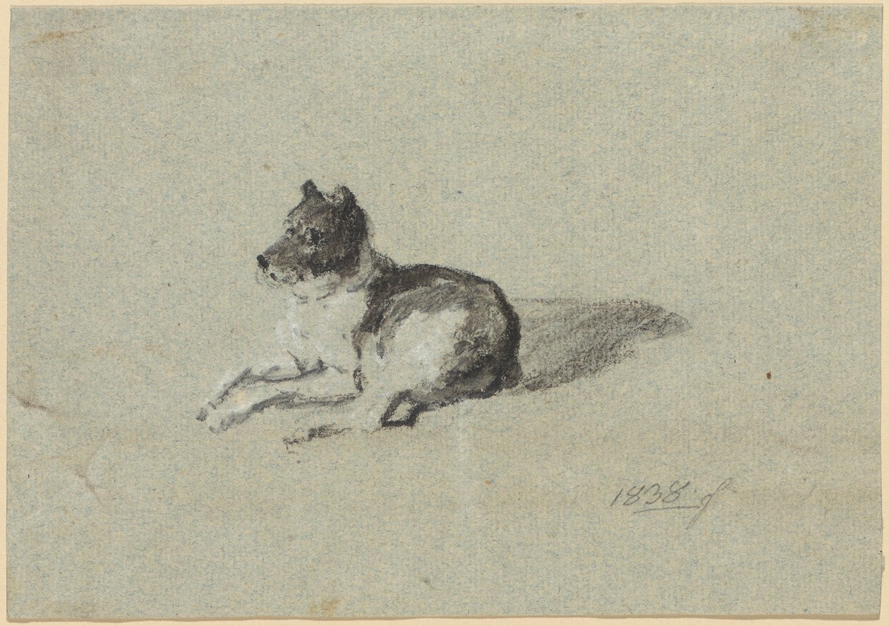 Due studi sui cani da Johann Georg von Dillis