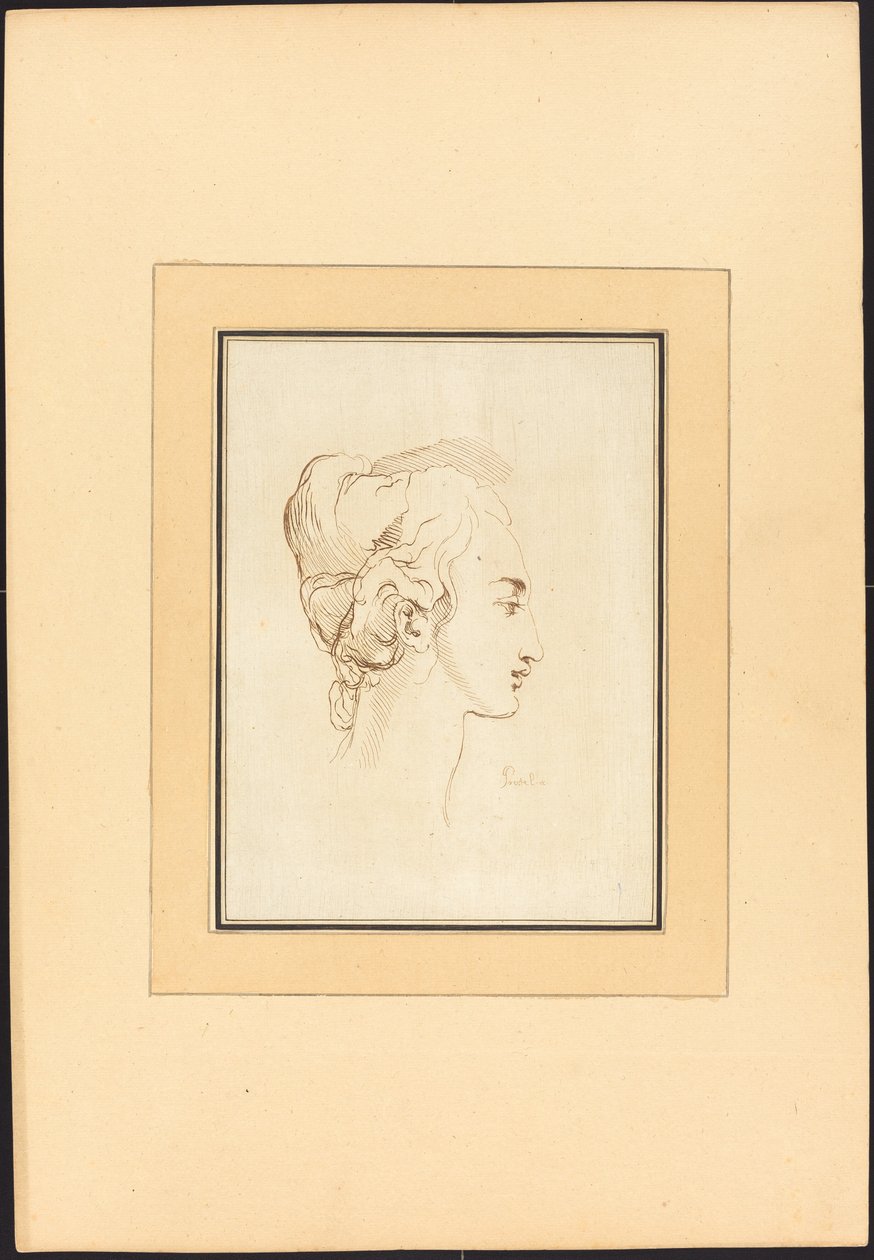 Testa di una donna da Johann Gottlieb Prestel after Guercino