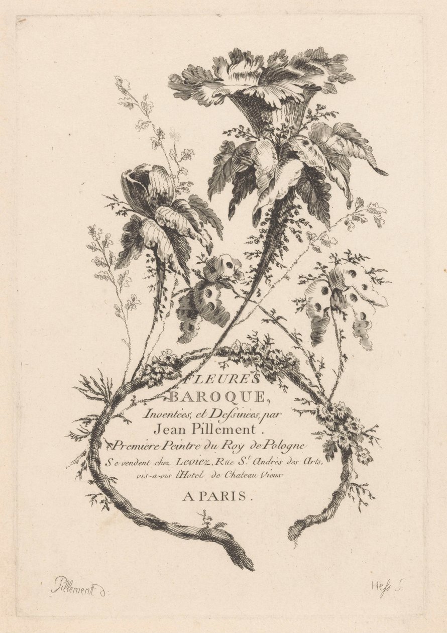 Fiori a forma di tromba da Johann Heinrich  Hess