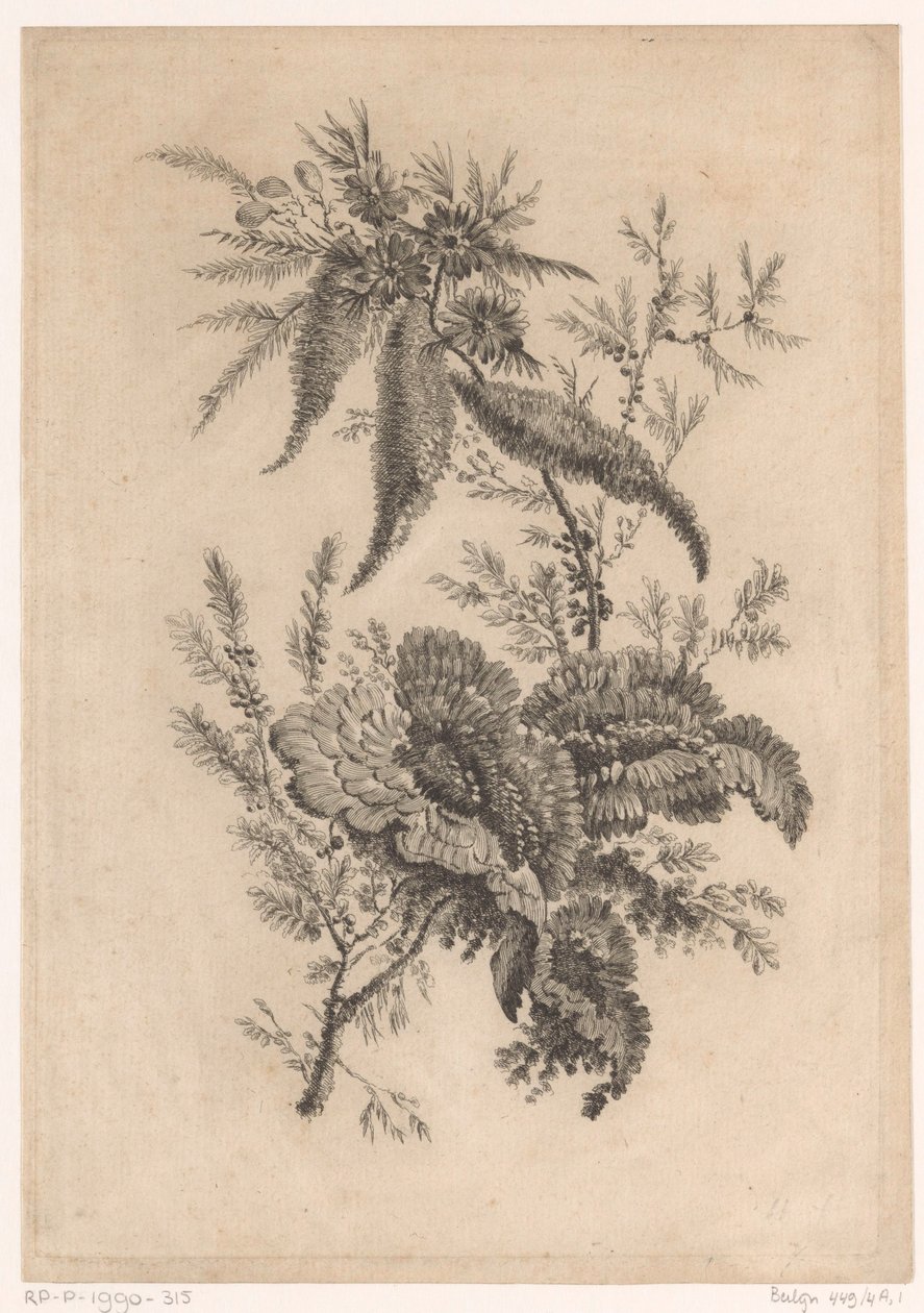 Rose selvatiche da Johann Heinrich  Hess