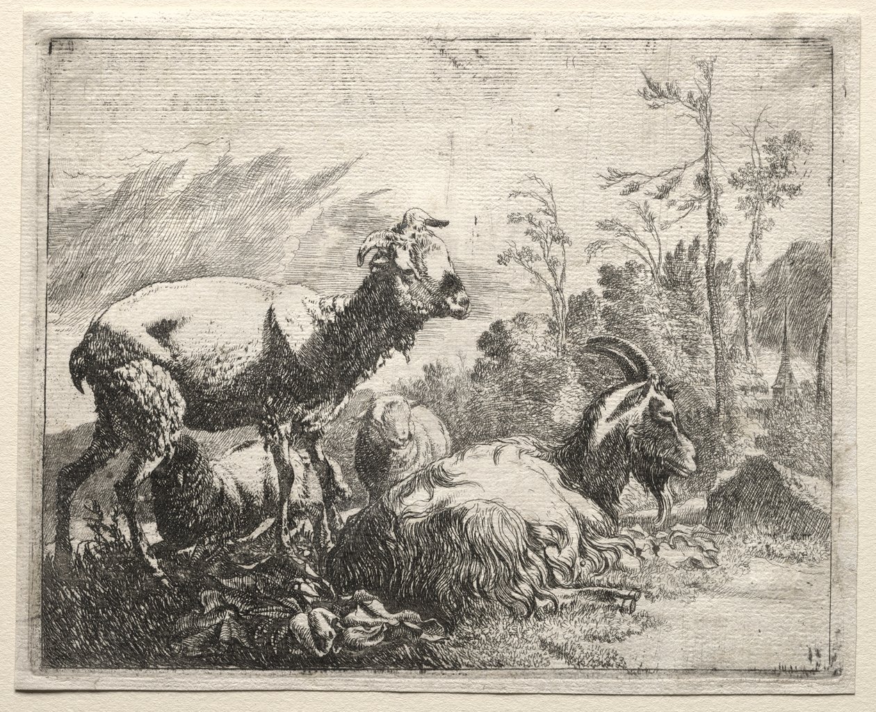 Capre da Johann Heinrich Roos