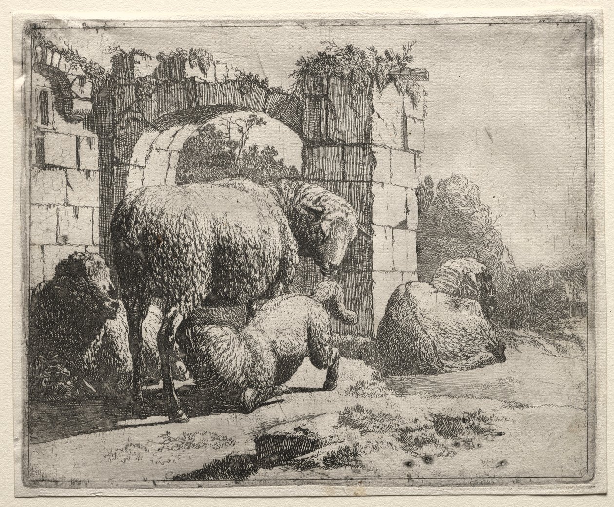 Pecore vicino alle rovine di un arco da Johann Heinrich Roos