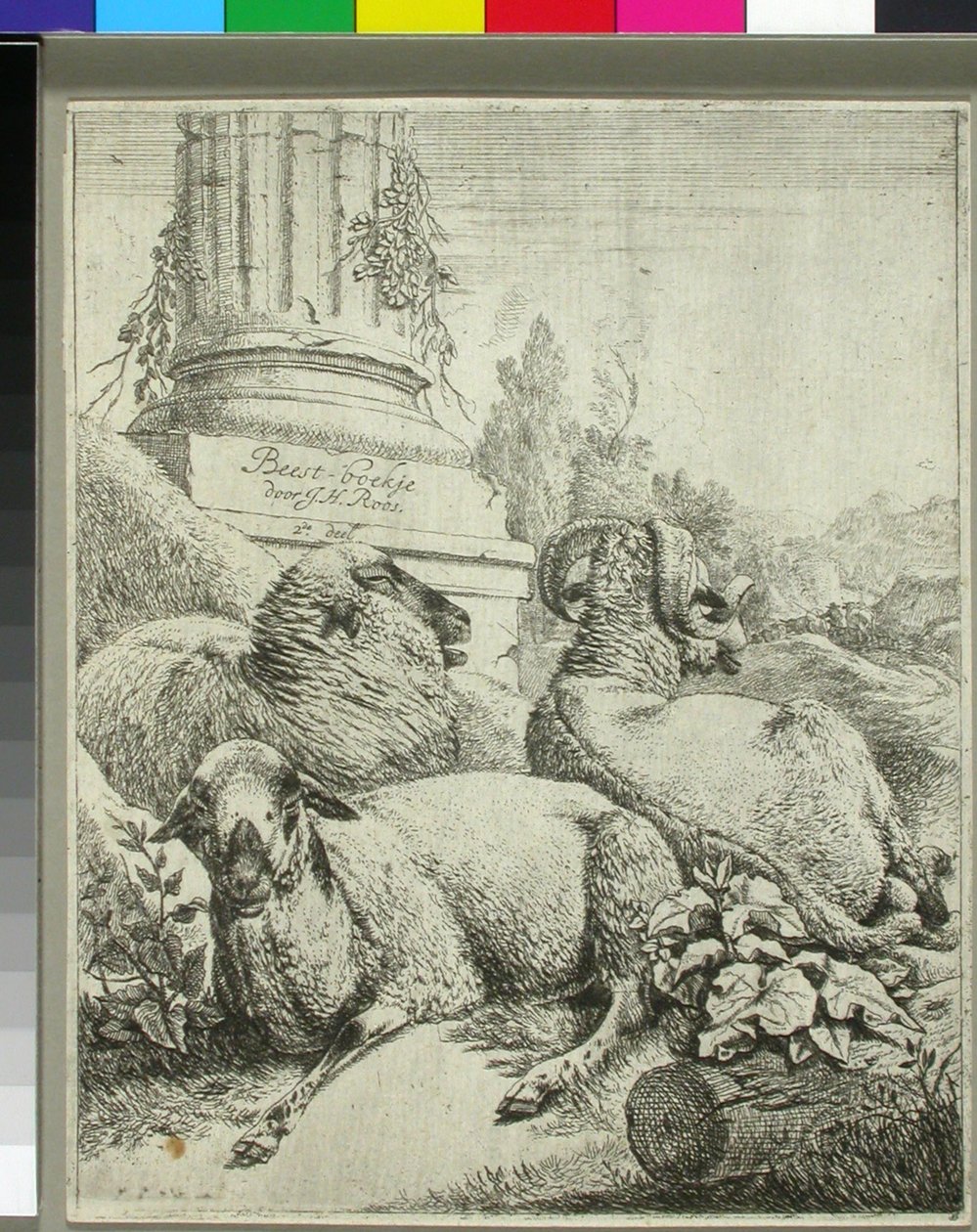 Pecore ai piedi di una colonna da Johann Heinrich Roos