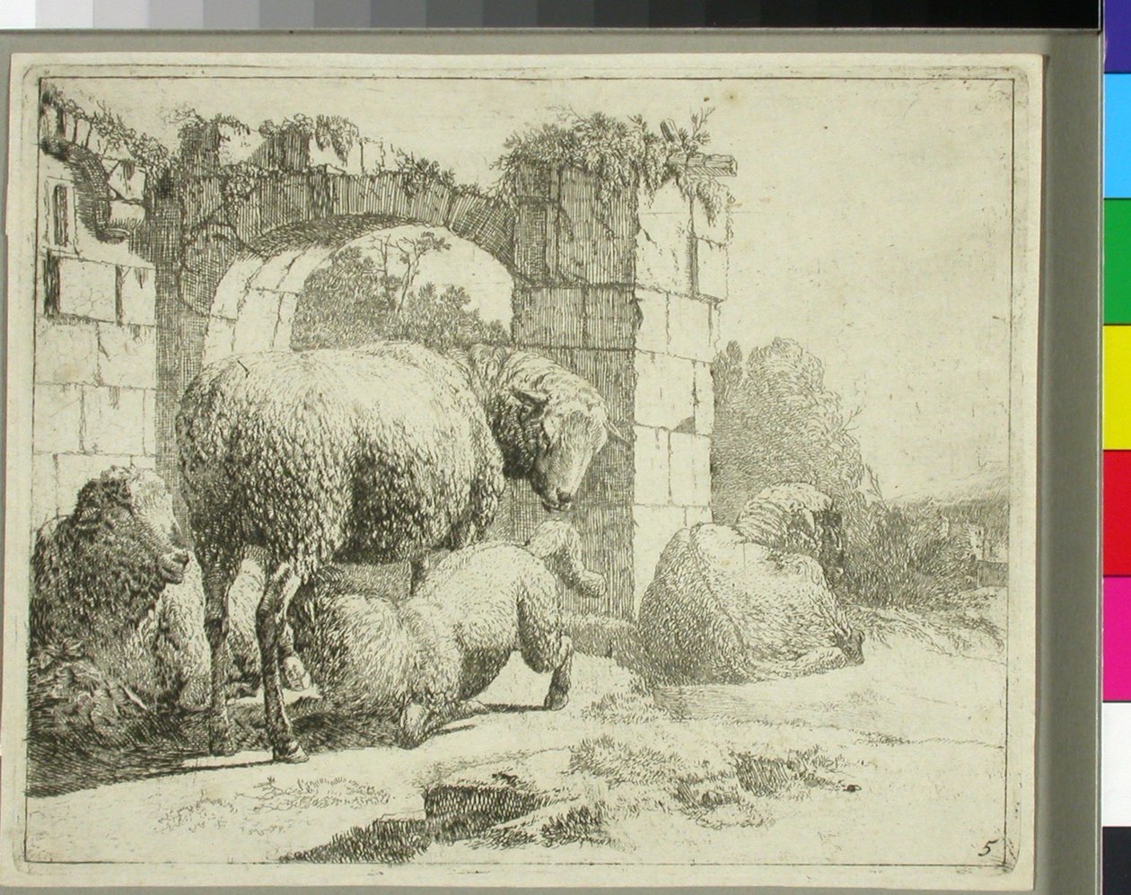 Pecore presso un cancello in rovina da Johann Heinrich Roos