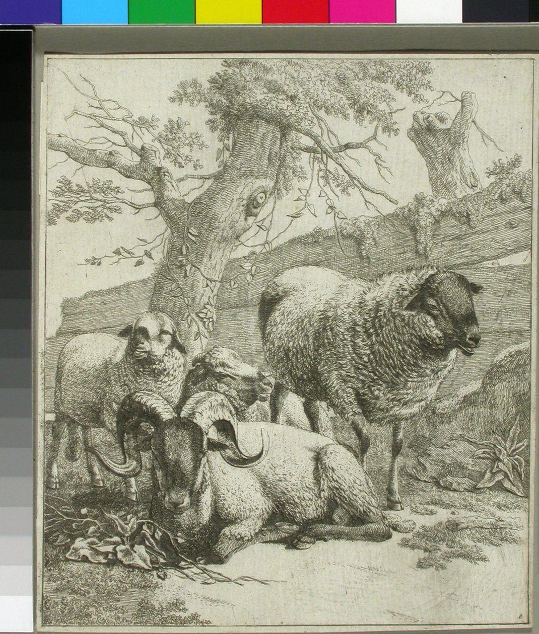 Ohne Titel da Johann Heinrich Roos