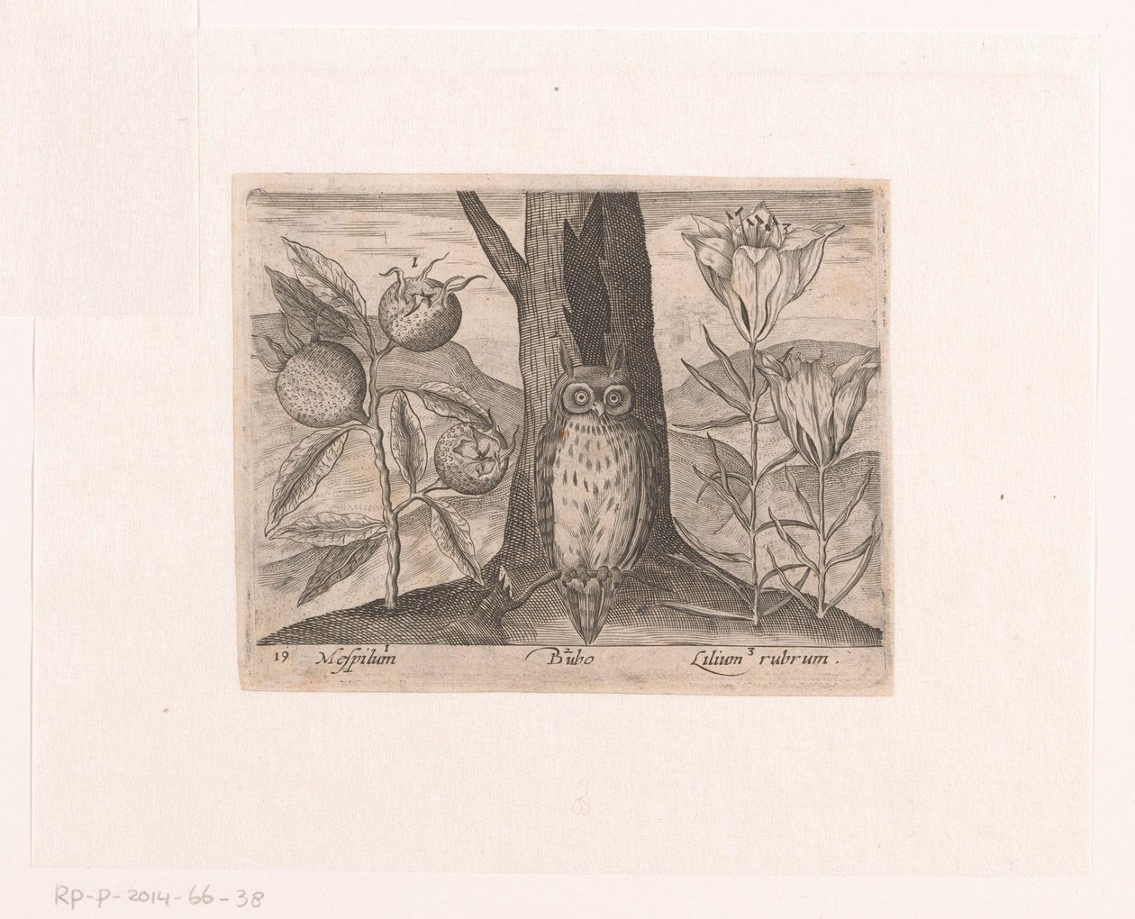 Serie di stampe con fiori e animali in un paesaggio da Johann Hogenberg