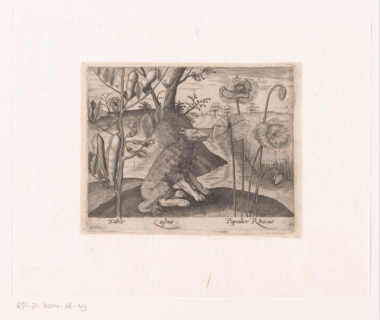 Serie di stampe con fiori e animali in un paesaggio da Johann Hogenberg