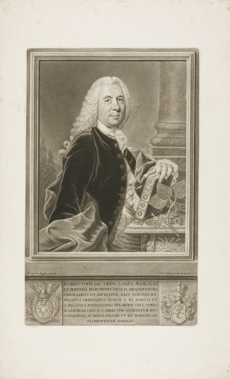 D. Christopher Jacob Trew, da Plantae Selectae da Johann Jacob Haid