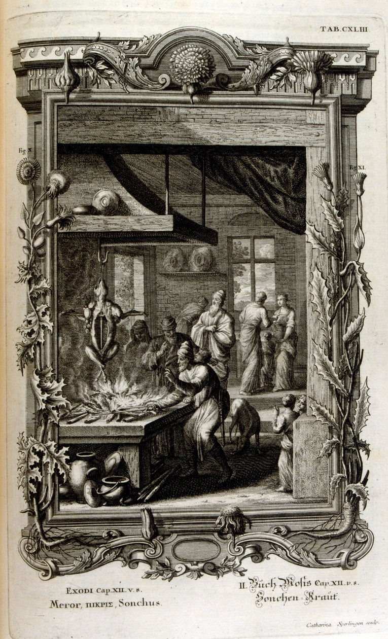 Illustrazione da Physique sacree, ou Histoire-naturelle de la Bible da Johann Jakob Scheuchzer