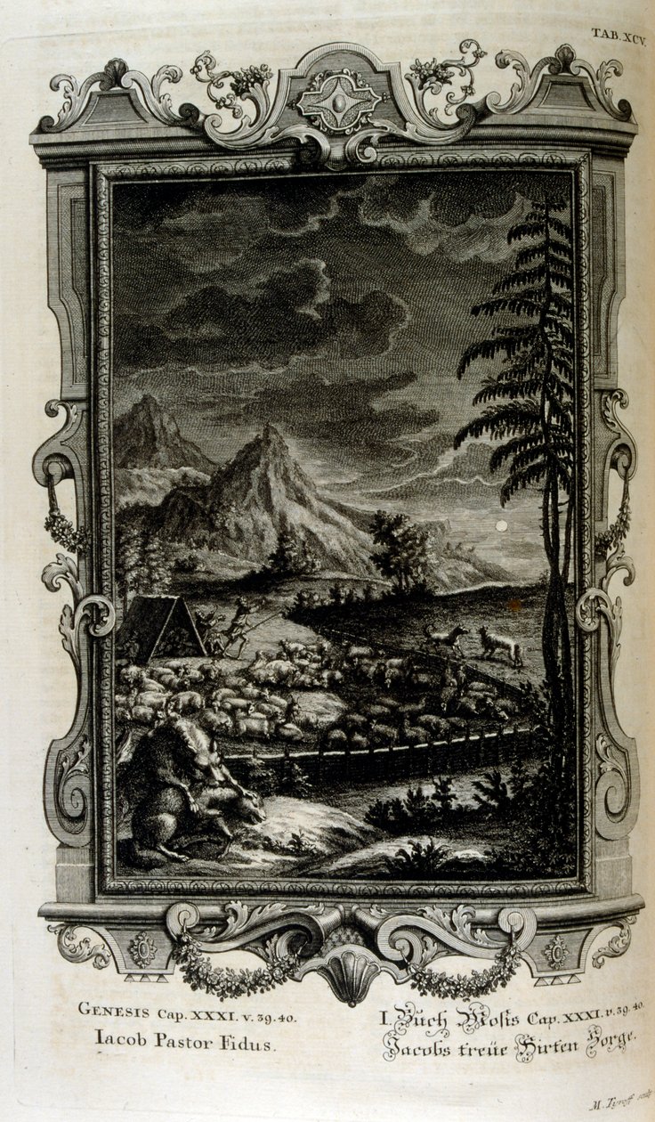 Campi di Giacobbe da Johann Jakob Scheuchzer