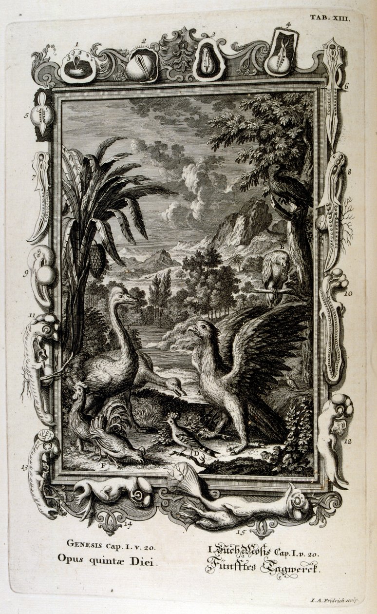 Il racconto della creazione della Genesi: Il quinto giorno della creazione: Gli animali sono creati da Johann Jakob Scheuchzer