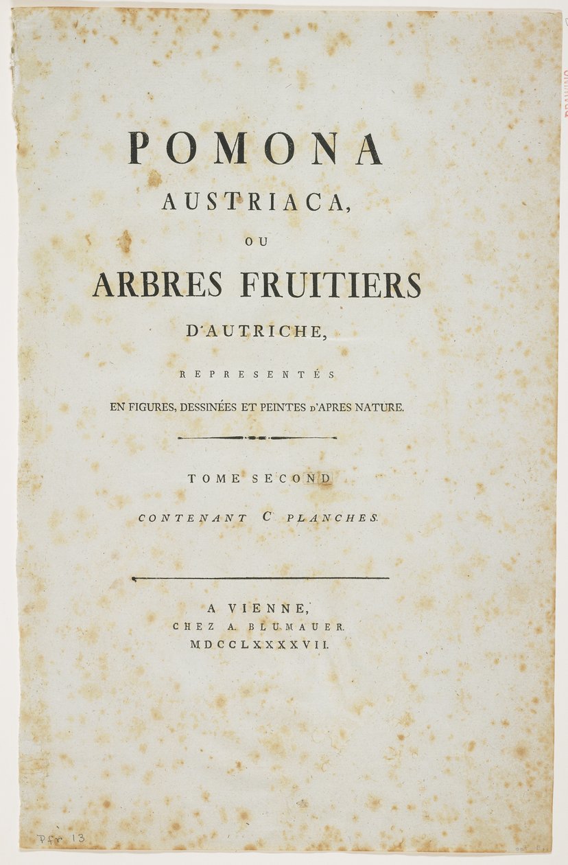 Pagina del titolo da 