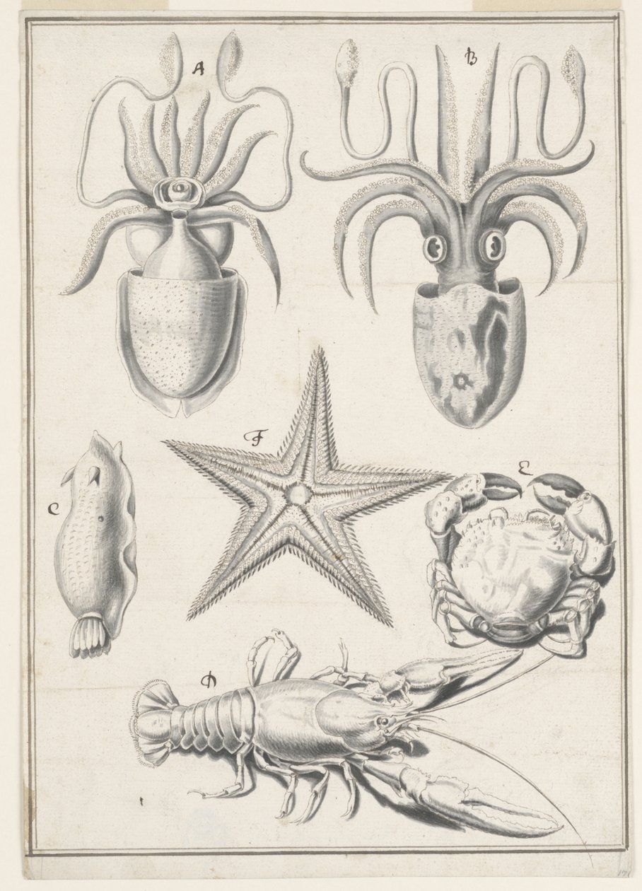 Quinto Giorno di Lavoro da Johann Melchior Füssli