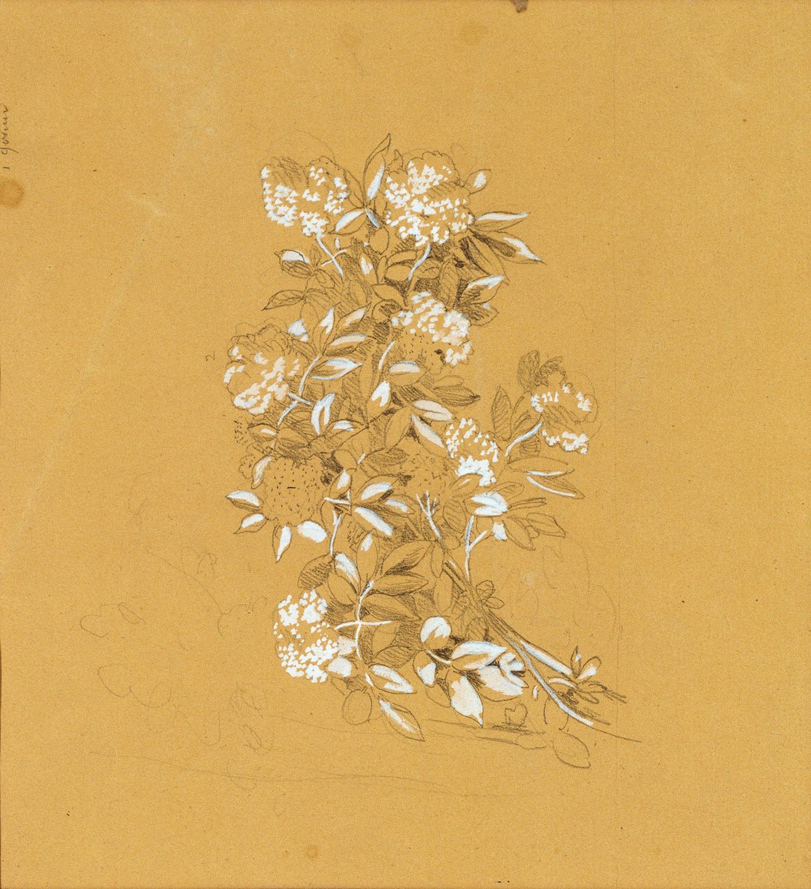 Bouquet di fiori da Johann Peter Krafft