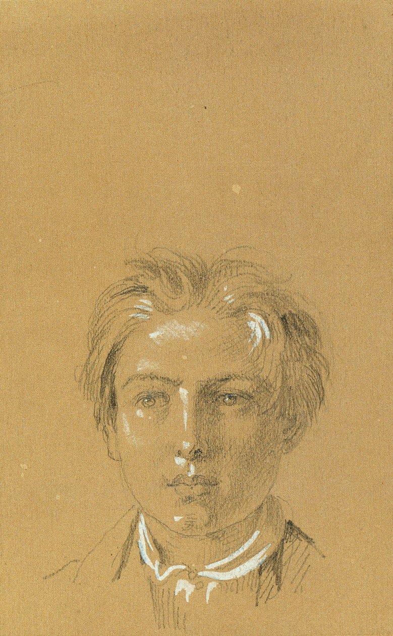 Testa di un ragazzo da Johann Peter Krafft