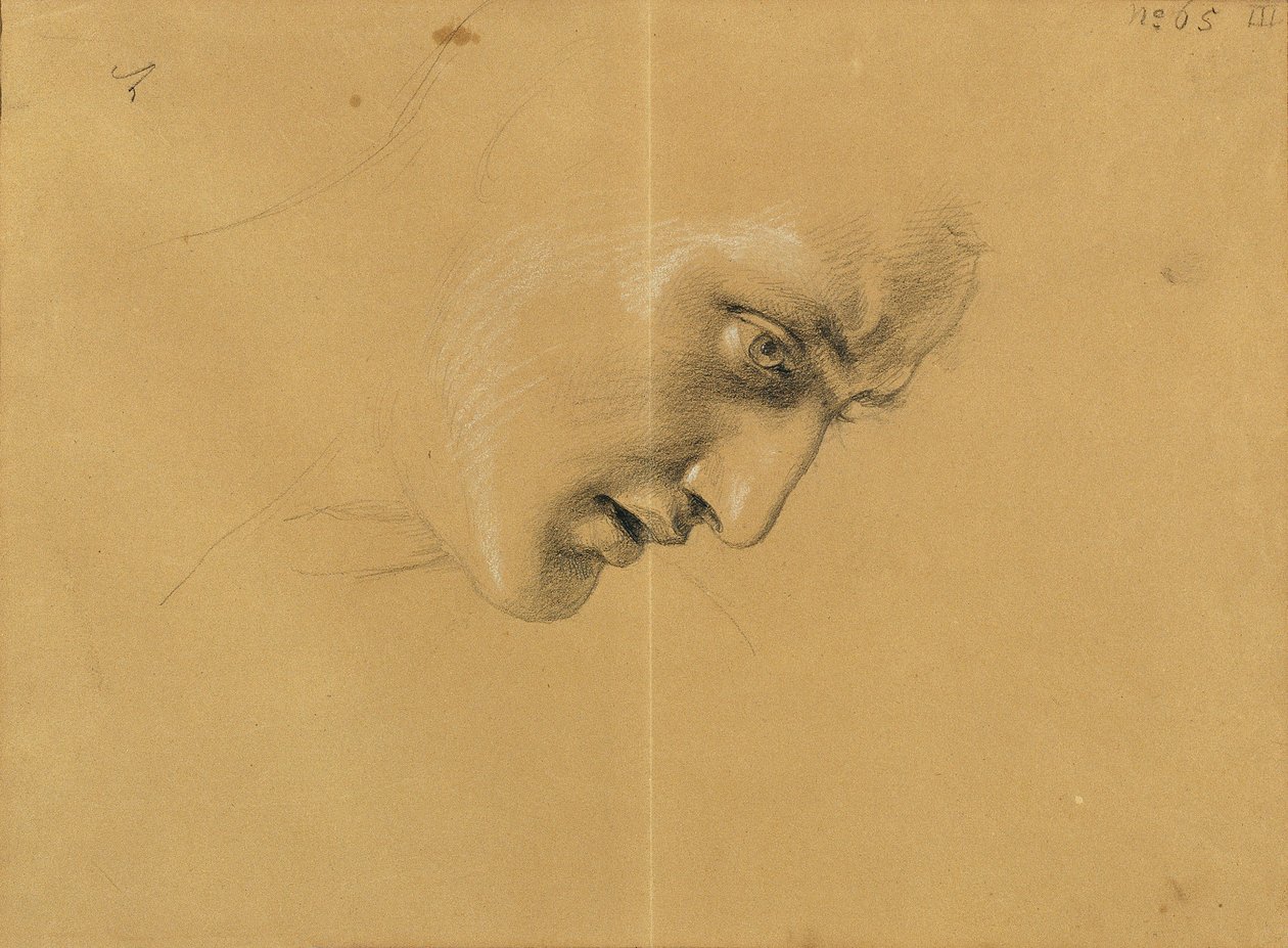 Studio di testa da Johann Peter Krafft