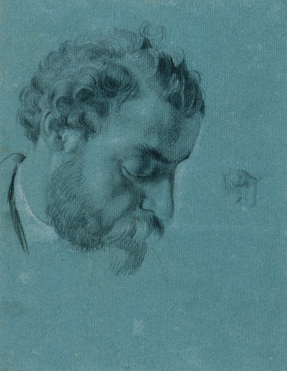 Studio di ritratto per "Davide con la testa di Golia" da Johann Peter Krafft