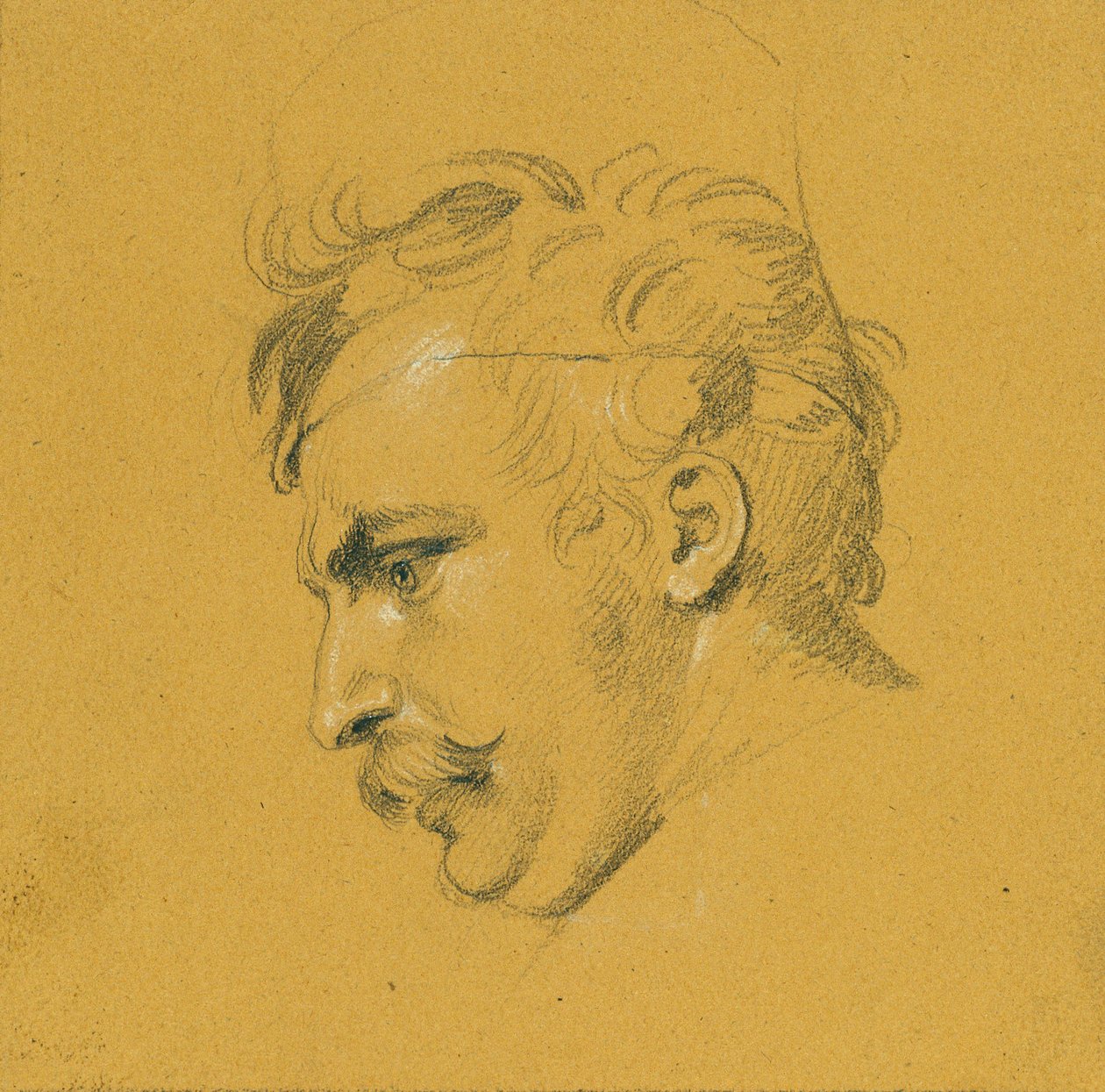 Studio di ritratto per "L
