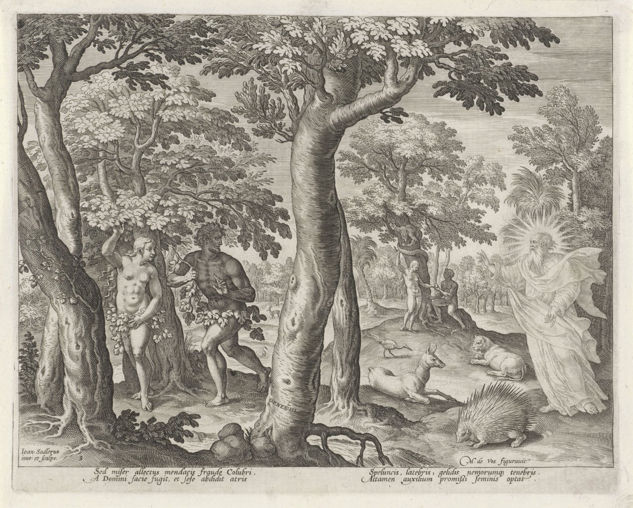 La caduta dell
