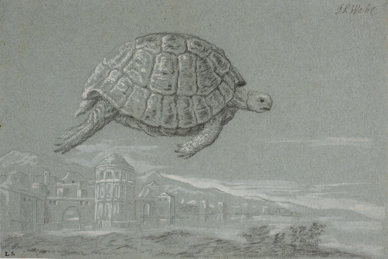 Studio di una tartaruga e prospetto di una città fortificata sul mare (Venezia) da Johann Salomon Wahl