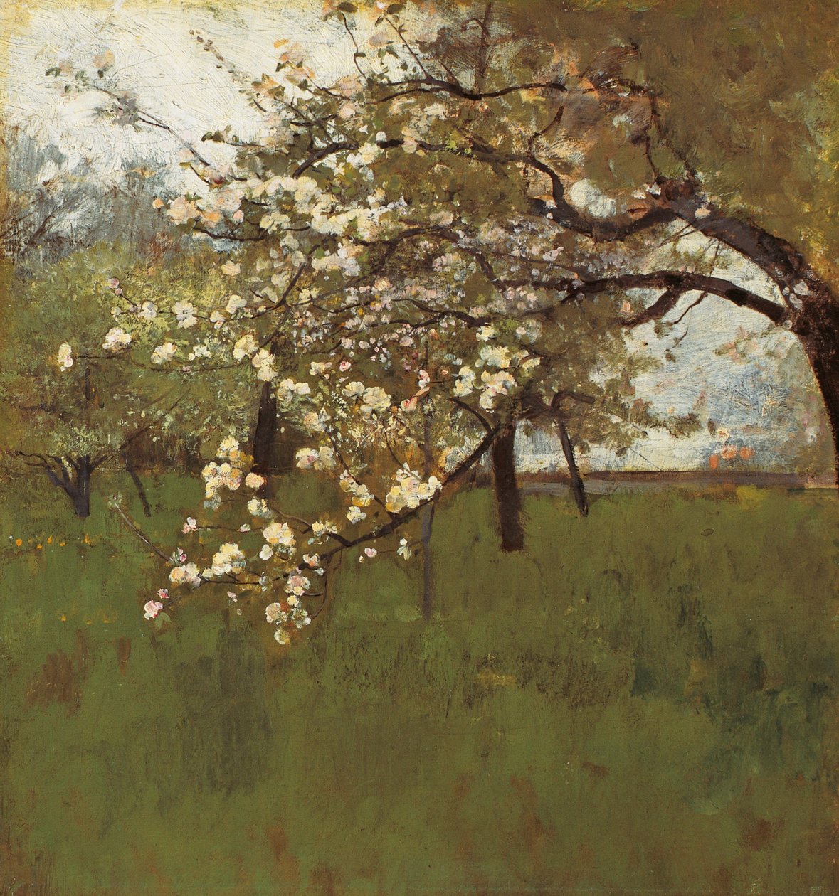 Melo in fiore (olio su tela) da Johann Sperl