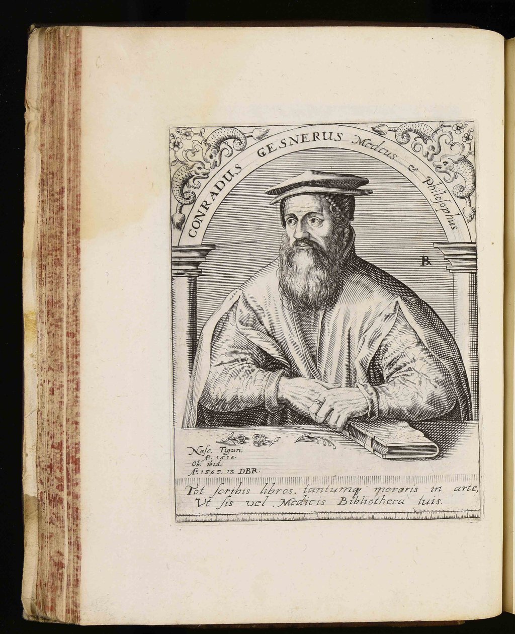 Conrad Gessner da Johann Theodor de Bry