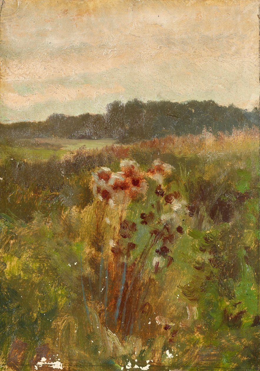 Paesaggio in Bassa Austria da Johann  Till der Jüngere