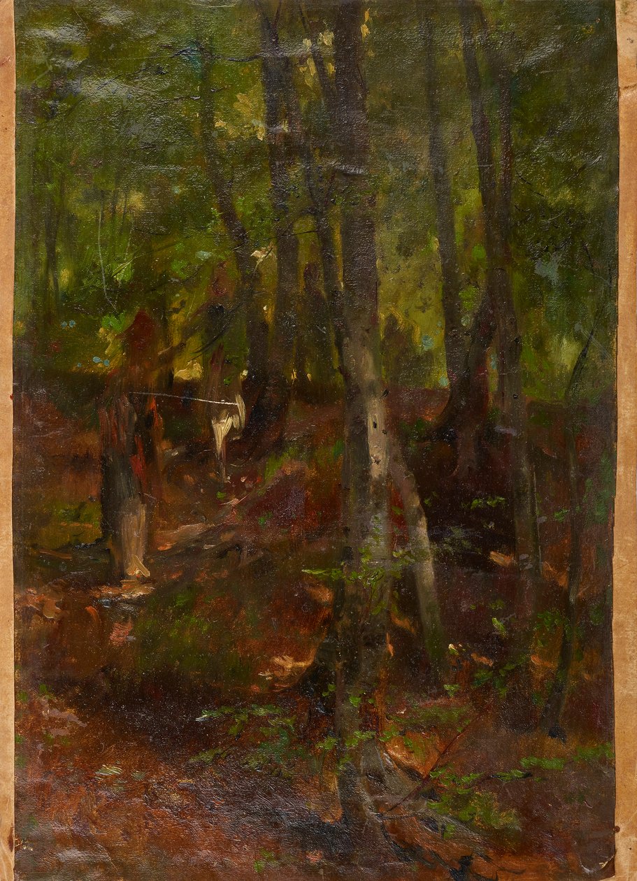Paesaggio boschivo da Johann  Till der Jüngere