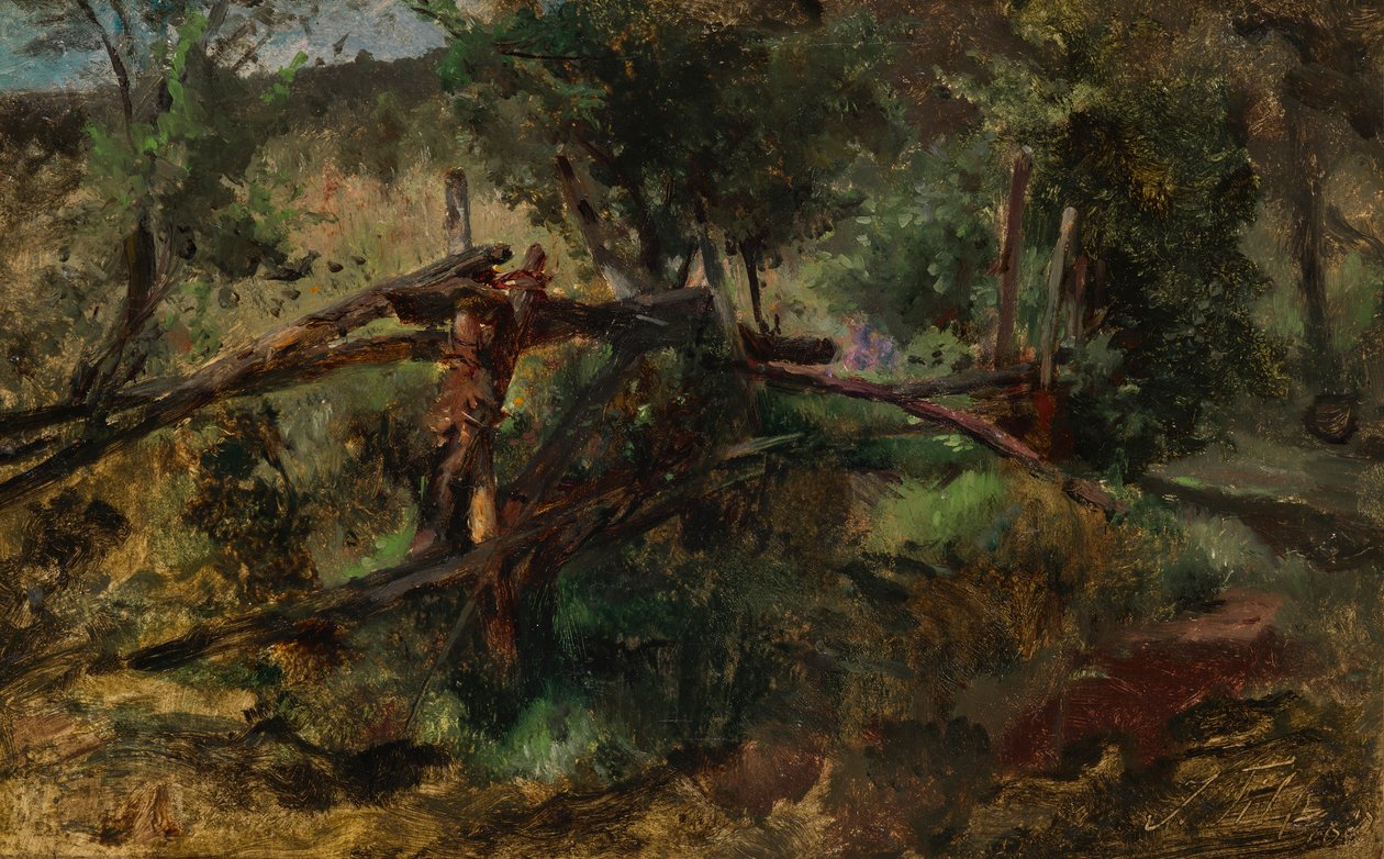 Sentiero nel bosco con recinto da Johann  Till der Jüngere