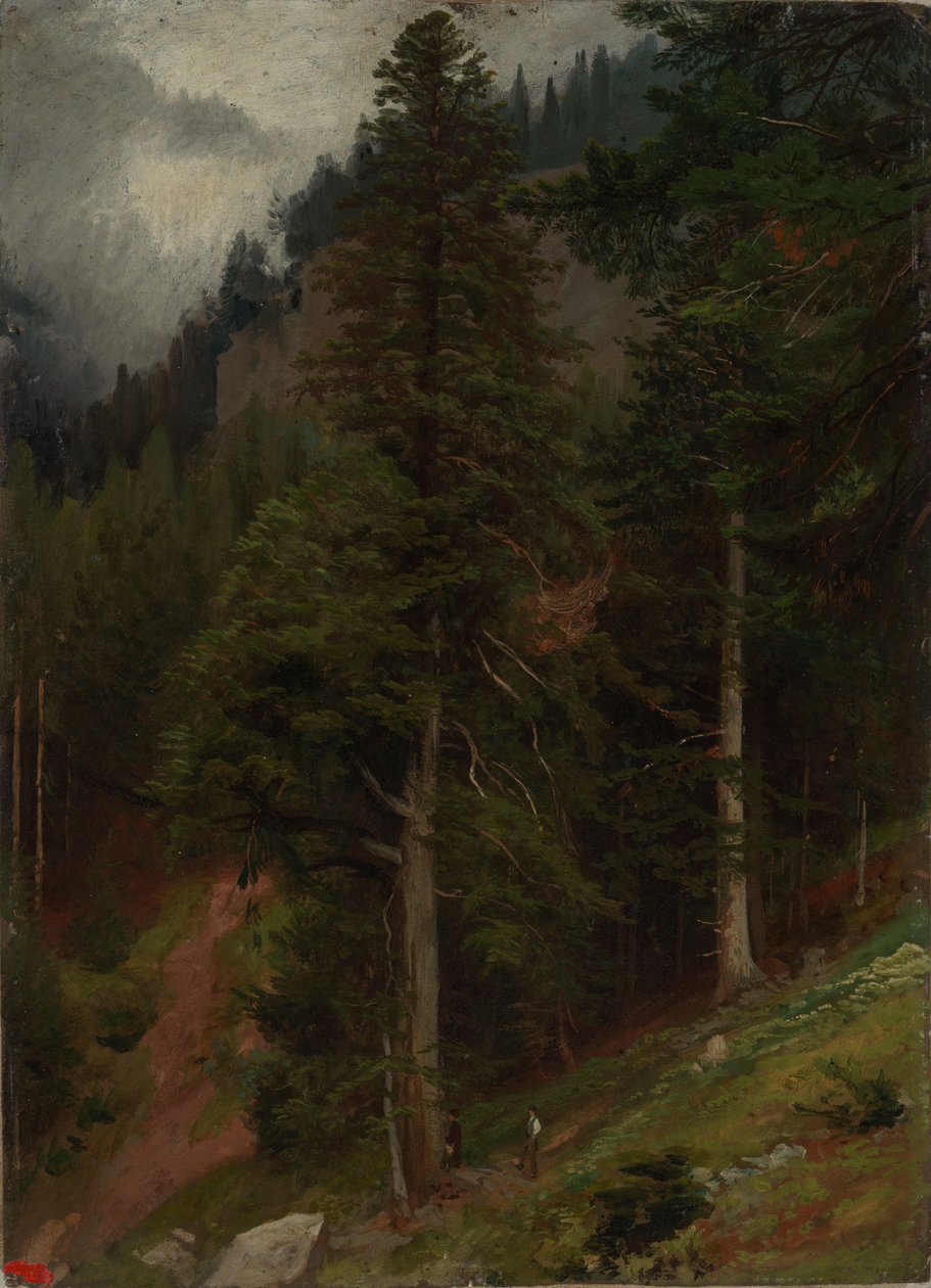 Pendio nella foresta di abeti da Johann Wilhelm Schirmer