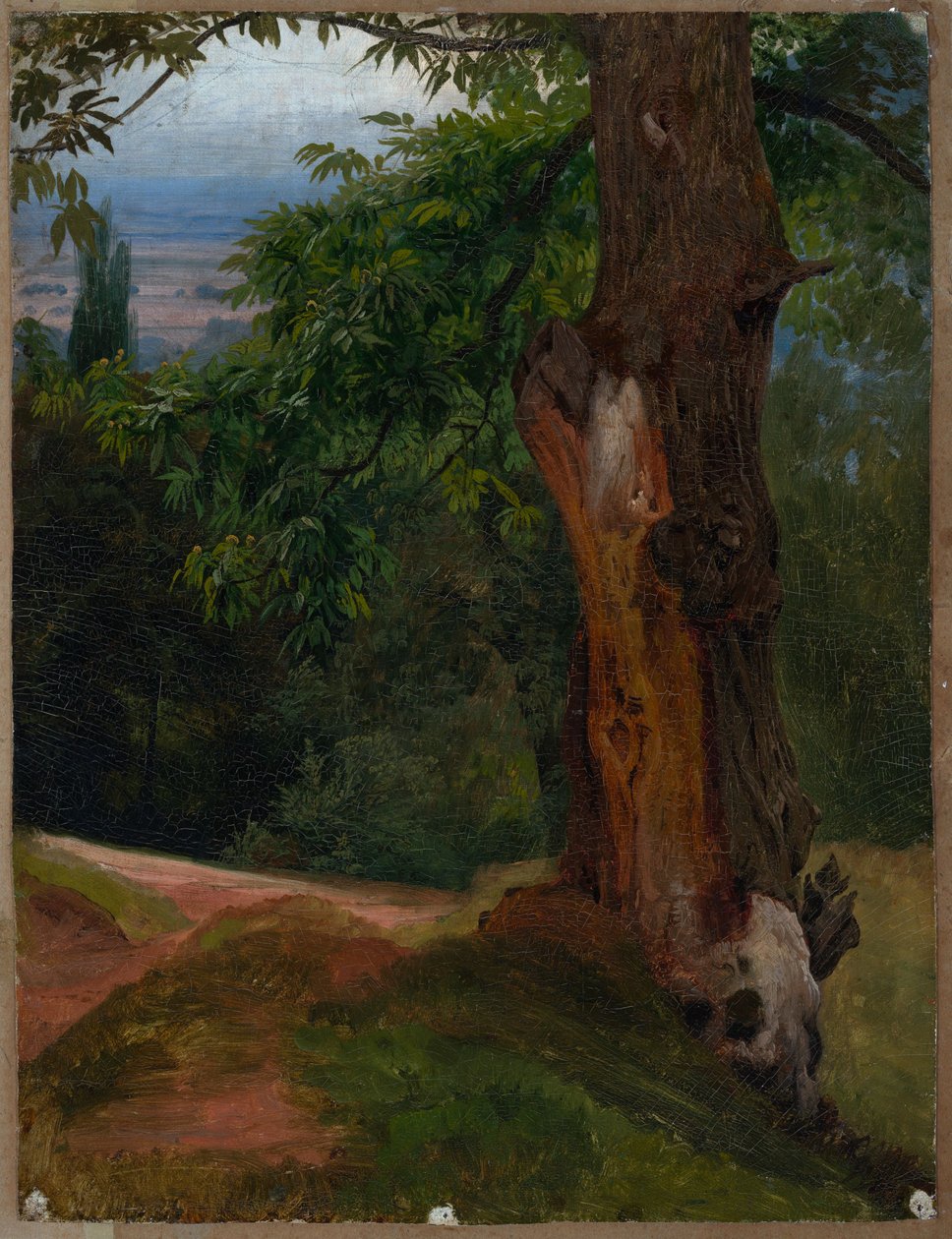Studio di albero con vista sulla valle da Johann Wilhelm Schirmer