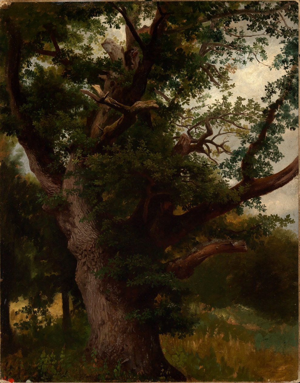 Eichbaum da Johann Wilhelm Schirmer