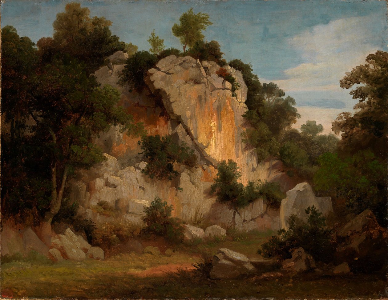 Parete rocciosa con alberi e cespugli da Johann Wilhelm Schirmer