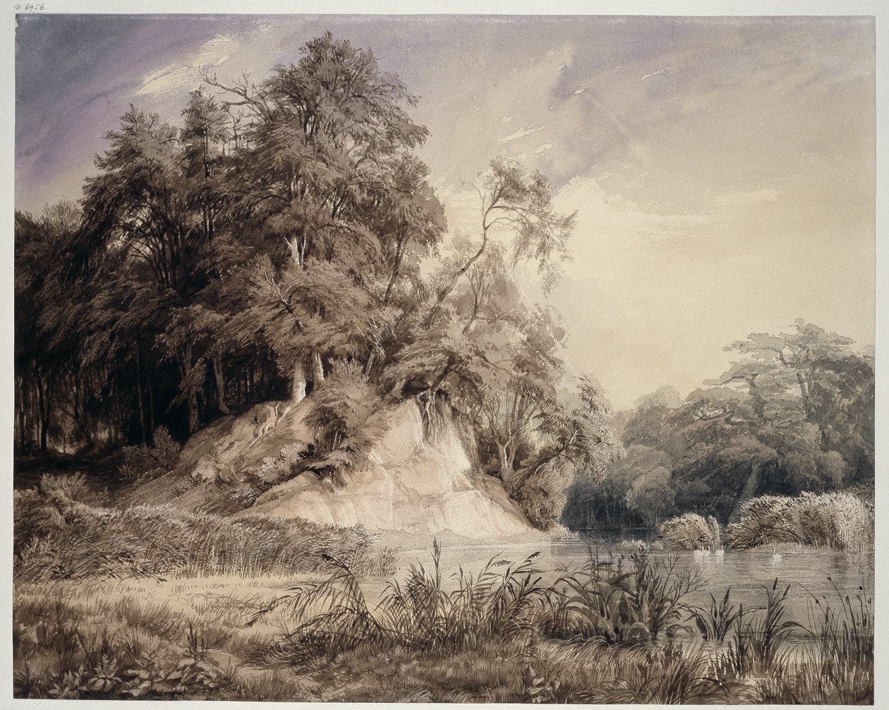 Paesaggio boschivo con lago e cigni da Johann Wilhelm Schirmer